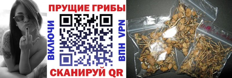 Галлюциногенные грибы ЛСД  Бабаево 