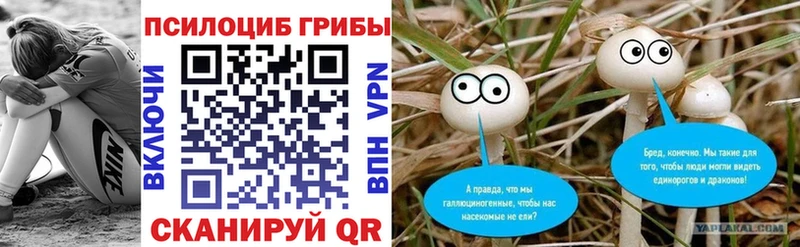 Псилоцибиновые грибы мицелий Бабаево